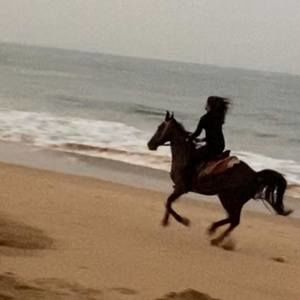 Meet your Posher, Sher